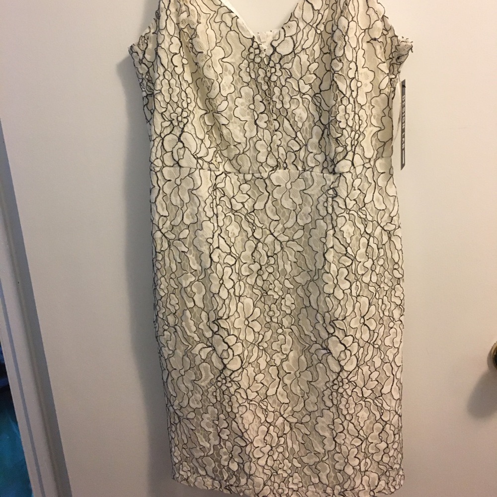 design lab lord and taylor dress